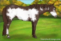 Horse Color:Liver Chestnut Frame 