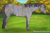 Horse Color:Nacre Blue Roan 