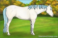 Horse Color:Painted Silver Amber Cream Champagne Pearl Dun Splash 