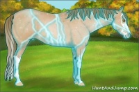 Horse Color:Thunderstruck Bay Pearl Splash 