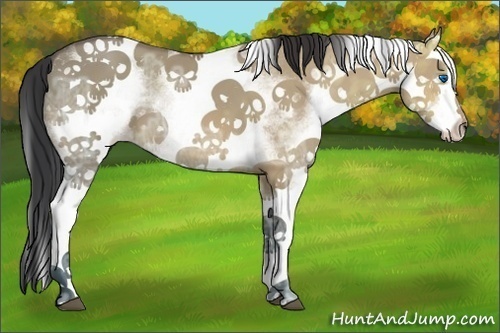 Horse Color:White Spotted Bay Ice Dun Splash 