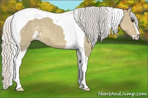Horse Color:Silver Smoky Grullo Sabino Tobiano 