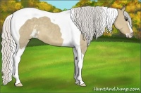 Horse Color:Silver Smoky Grullo Sabino Tobiano 