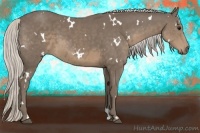 Horse Color:White Spotted Silver Smoky Black