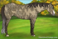 Horse Color:Sable Cream Champagne Ice Dun 