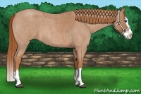 Horse Color:Red Roan Splash 
