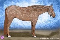 Horse Color:Red Ice Roan 