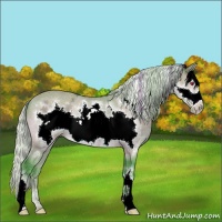Horse Color:Watercolor Silver Bay Chinchilla Ice Frame