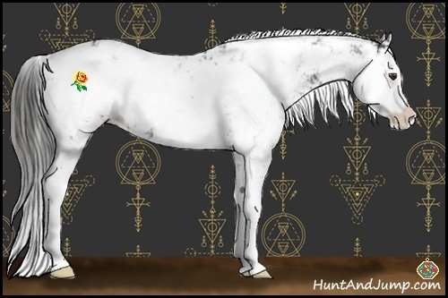 Horse Color:Liver Chestnut Sabino Blanket