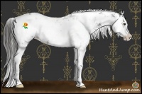 Horse Color:Liver Chestnut Sabino Blanket