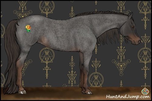 Horse Color:Liver Red Roan Sabino 