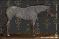 Horse Color:Liver Red Roan Sabino 