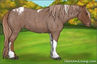 Horse Color:Red Roan Tobiano Varnish