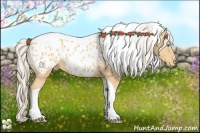 Horse Color:Silver Amber Champagne Tobiano Appaloosa Rabicano