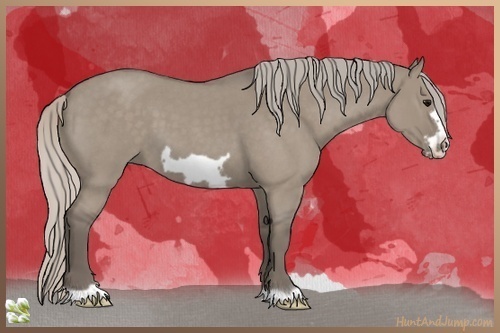 Horse Color:Silver Grullo Roan Frame 