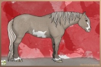 Horse Color:Silver Grullo Roan Frame 