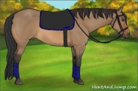 Horse Color:Bay Dun