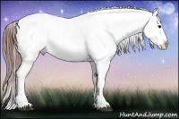 Horse Color:Black Splash Blanket 