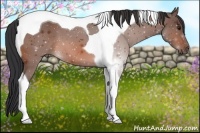 Horse Color:Bay Tobiano 
