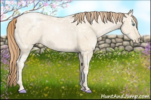 Horse Color:Smoky Black Ice Pearl