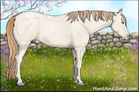 Horse Color:Smoky Black Ice Pearl