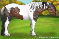 Horse Color:Liver Chestnut Ice Tobiano