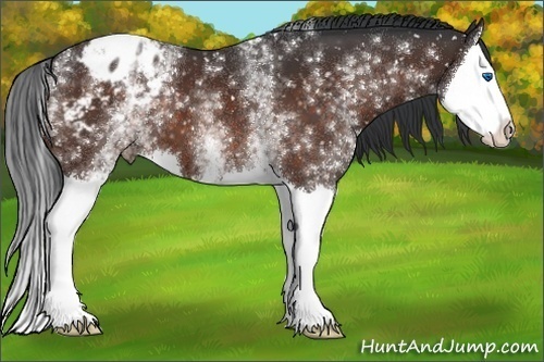 Horse Color:White Spotted Brown Splash Snowflake Varnish