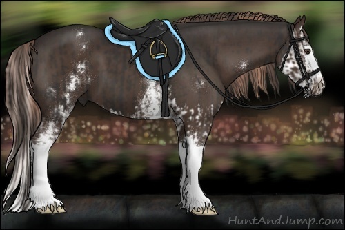 Horse Color:Liver Chestnut Splash  and White Spotted Liver Chestnut 