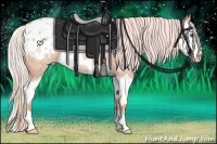 Horse Color:Watercolor Silver Brown Dun Splash Appaloosa Rabicano