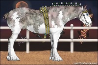 Horse Color:Watercolor Smoky Black Ice Pearl Sabino Splash