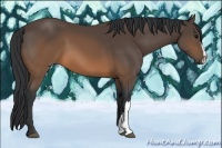 Horse Color:Brown 