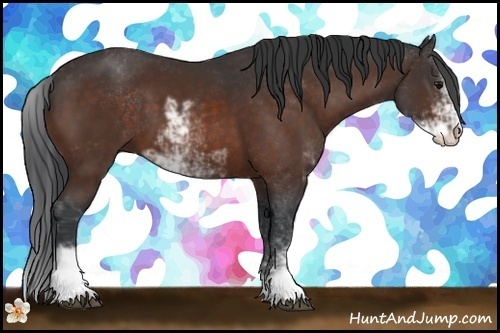 Horse Color:Brown Sabino