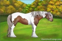 Horse Color:Silver Brown Tobiano 