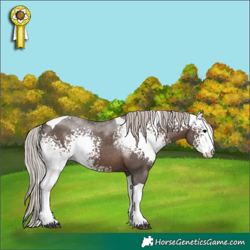 Horse Color:White Spotted Silver Black Tobiano 