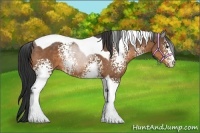 Horse Color:White Spotted Buckskin Tobiano 