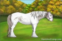 Horse Color:White Spotted Silver Black Tobiano 