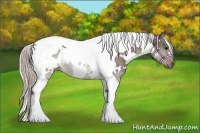 Horse Color:White Spotted Silver Black Tobiano 