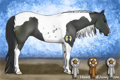 Horse Color:Black Tobiano