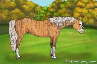 Horse Color:Silver Bay Sabino and Silver Buckskin Sabino Splash