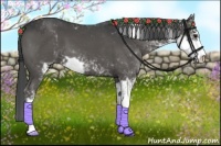 Horse Color:Black Sabino