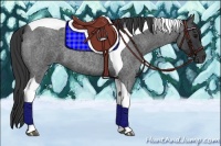 Horse Color:Blue Roan Tobiano 