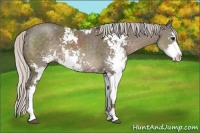 Horse Color:Silver Smoky Black Sabino 
