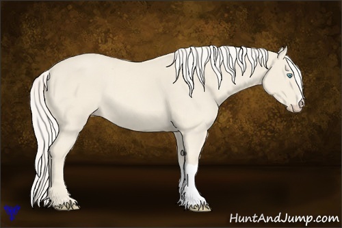 Horse Color:Cremello