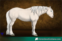 Horse Color:Cremello 