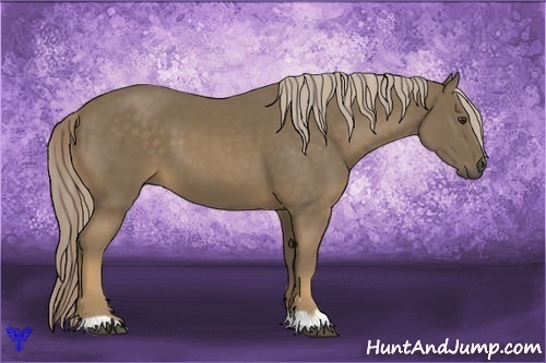 Horse Color:Chocolate Palomino