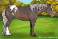 Horse Color:Silver Black Blanket