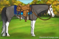 Horse Color:Grullo Splash 