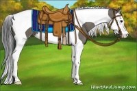 Horse Color:Smoky Grullo Splash Tobiano