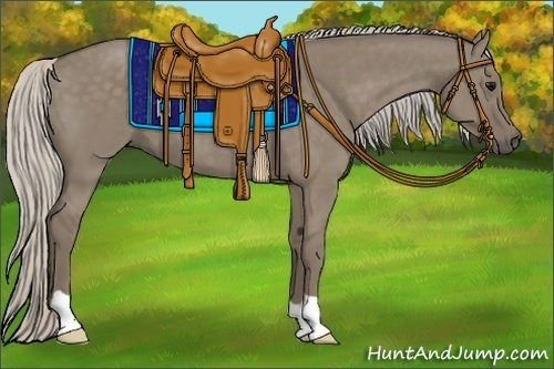 Horse Color:Silver Grullo 