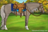 Horse Color:Silver Grullo 